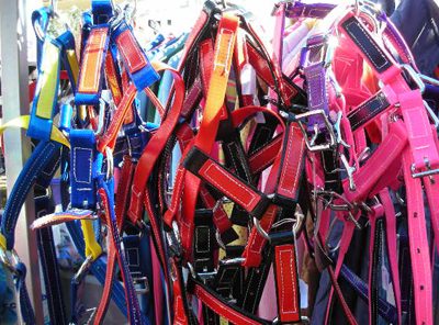 PVC HEADSTALL PVC HEADSTALL