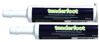 TENDERFOOT TENDERFOOT